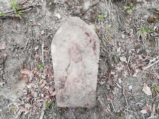 画像に含まれている可能性があるもの:木、屋外